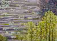  En la trastienda , 2007 
